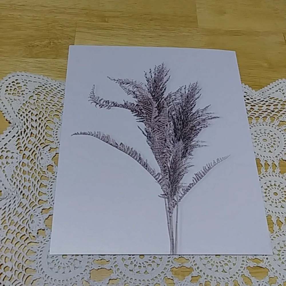 Art Prints Ethereal, wispy floral prints, wall art